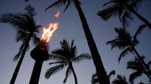Palm trees in shadow and a lit tiki torch