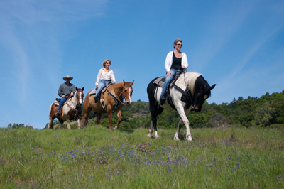 Three people riding horseback on a trail