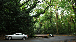 Cars driving up the Road to Hana